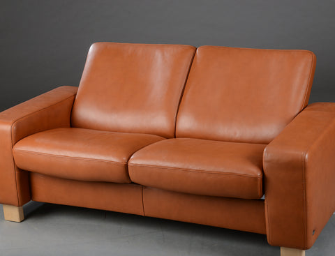 2 person leather sofa