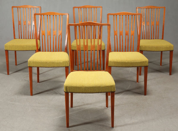 Collection of Beech Dining Chairs with Yellow Wool Seats and Wood Backs