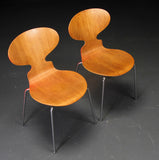 Two Ant Chairs with Moulded Varnished Oak and Chromed Tubular Steel Legs by Arne Jacobsen